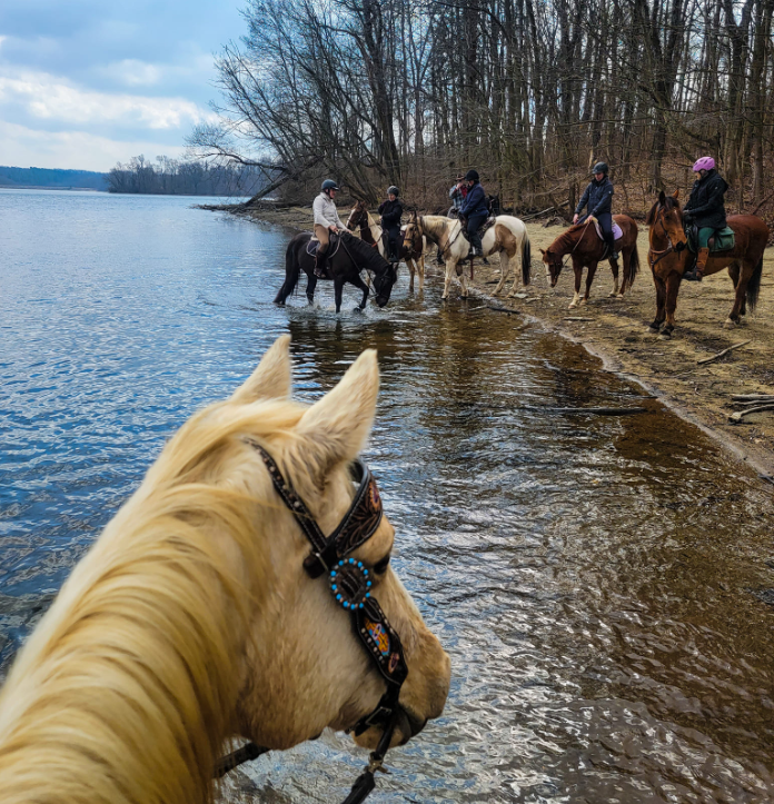 People Riding Horses on a Trail